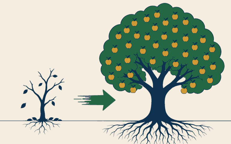 Bare struggling tree transforms into a flourishing fruit-bearing tree on the same Northern Joburg ground after a website rebuild.
